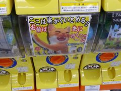 -秋叶原电器街