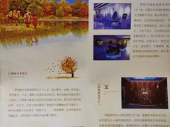-金塔沙漠胡杨林景区