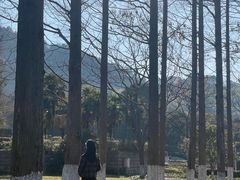 -中华孝德园