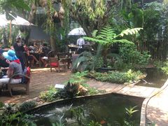 -Fern Forest Cafe