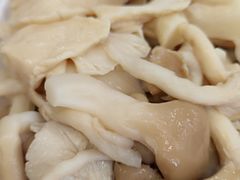 -鸽鸟轩(石岐店)