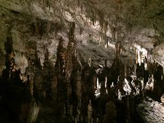 -波斯托伊纳溶洞