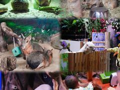 -正佳雨林生态植物园