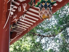 -乌山风景区