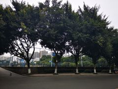 -西南政法大学(渝北校区)