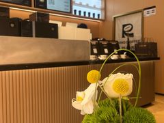 -蓉小乔·RONG COFFEE(春熙路店)