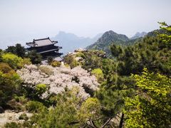 -泰山风景名胜区