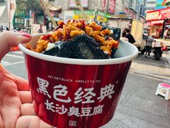 -黑色经典臭豆腐·湖南特产(步行街店)