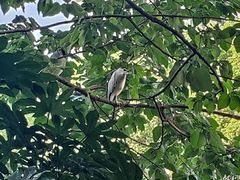 -苏州河梦清园环保主题公园