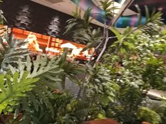 -大同江朝鲜菜•长春地标美食(绿园吾悦广场店)