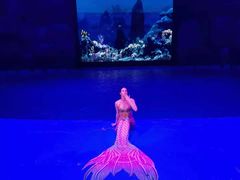 -芜湖新华联大白鲸海洋公园