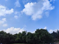 -上海滨江森林公园