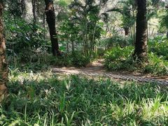 -深圳龙潭公园