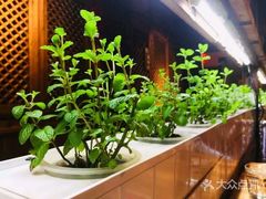 -望京一号·重庆江湖菜(工体店)