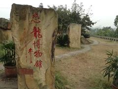 -自贡恐龙博物馆