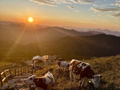 -灵山