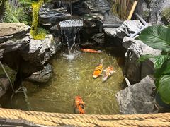 -金石青云炭火烤肉店(中房上东花墅店)