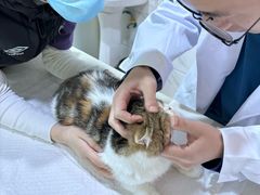 -萌兽医馆·宠物医院·猫骨科(创景店)