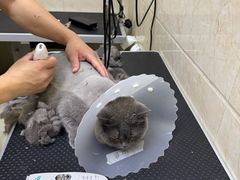 -美联众合动物医院·24h京西诊疗中心