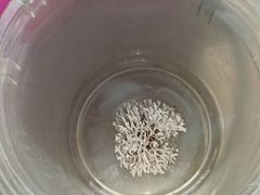 -小猫钓鱼海钓俱乐部(椰梦长廊店)