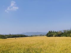 -良渚古城遗址公园
