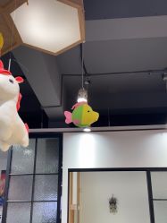 -心联形象设计·流星染