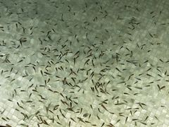 -东方之珠洗浴休闲广场(于家堡店)
