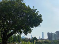 -四海公园(南山区)