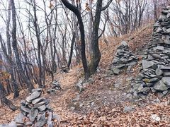 -帽儿山国家森林公园