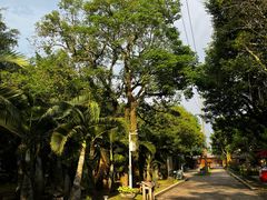 -海口火山口国家地质公园
