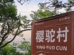 -紫金山山顶公园
