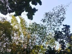 -人民公园(罗湖区)