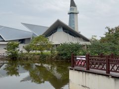 -盐城丹顶鹤湿地生态旅游区