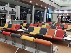 -西沃古尔·拉姆古兰爵士国际机场