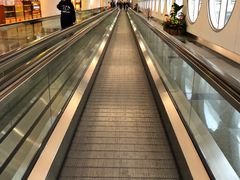 -厦门高崎国际机场-T3航站楼