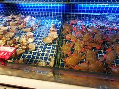 -必点海鲜·鲅鱼水饺(鞍山西道店)