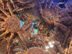 -阿伟海鲜楼·福建菜(延寿店)