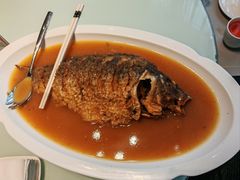 -豫丰汇河南名菜楼(武记餐饮)