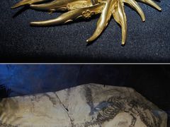 -柳州博物馆