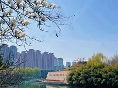 -汉长安城未央宫国家考古遗址公园