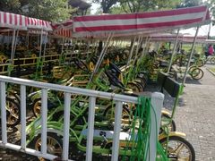 游乐设施-西安世博园