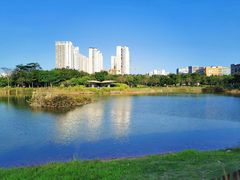 -福田红树林生态公园