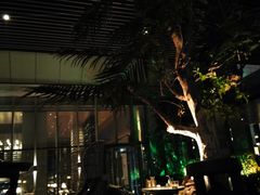 -四季酒店·空中花园 Aria on 9