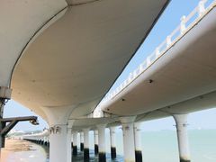 -演武大桥观景平台