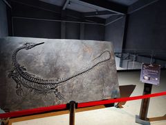-中华赏石园