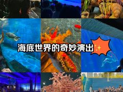 -华夏文旅海洋公园