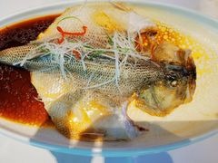 -原鄉本味 楚菜 丹江口鱼(北苑店)