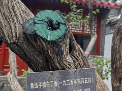 -北京鲁迅博物馆(北京新文化运动纪念馆鲁博馆区)