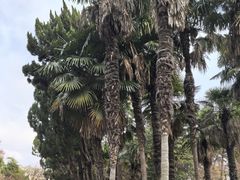 -狼山风景名胜区