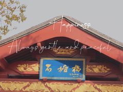 -长广溪湿地公园